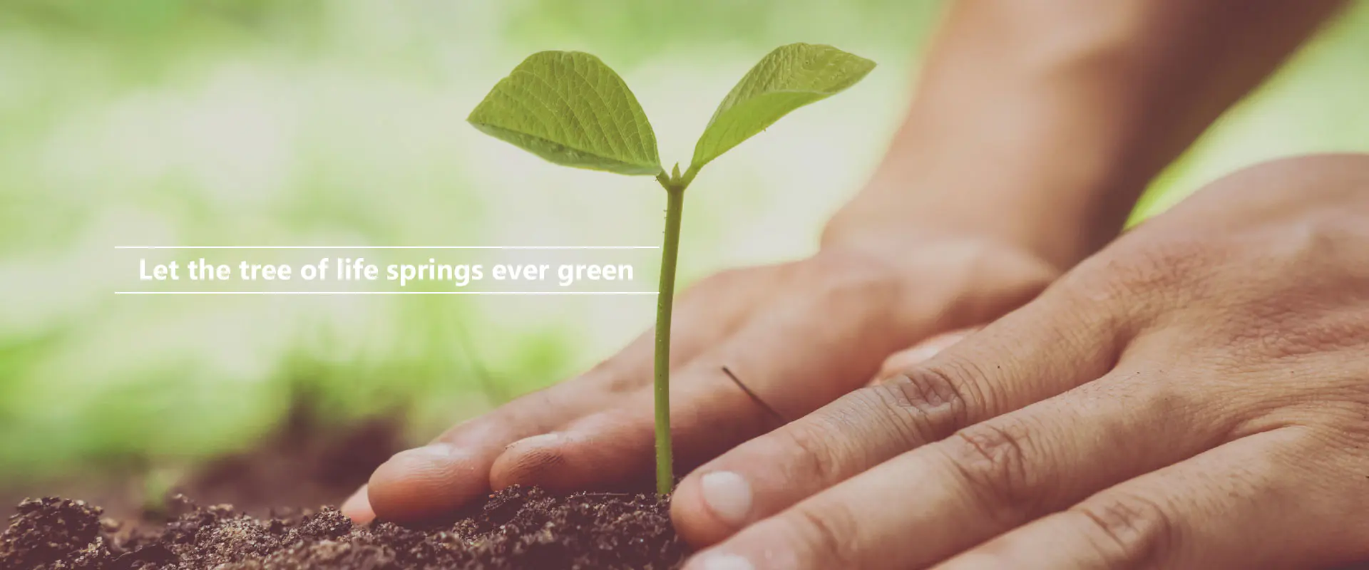 जीवनाचे झाड सदैव हिरवेगार होऊ दे