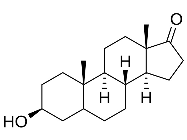 Epiandrosterone म्हणजे काय आणि आधुनिक संप्रेरक संशोधनात ते का लोकप्रिय होत आहे